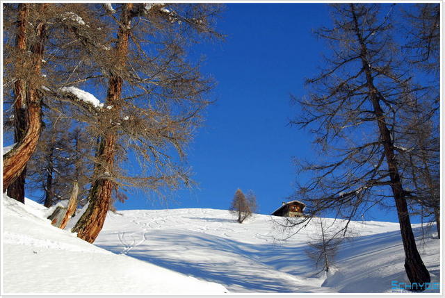 Ski- & Sportclub Jeizinen